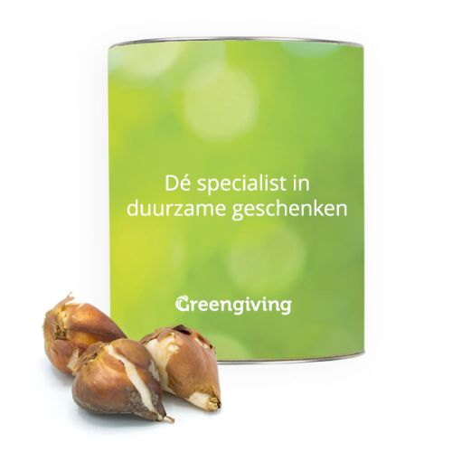 Mellem blomsterløgskoker - Billede 2